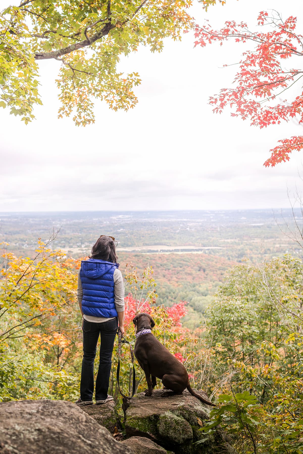 A person in a blue vest stands on a rock with a brown dog, overlooking a forested valley in autumn.