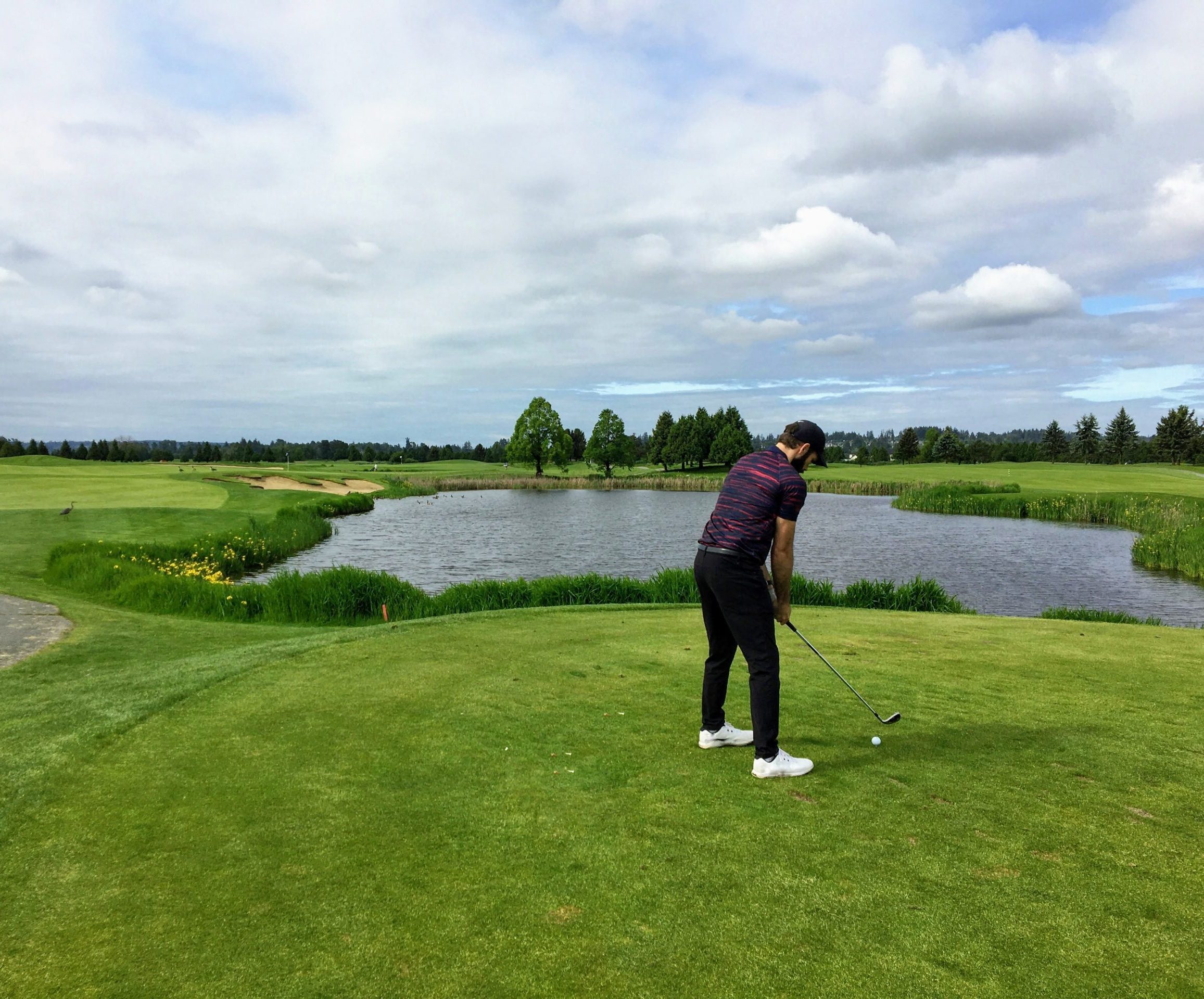 A person prepares to hit a golf ball on a green course with a pond and trees under a cloudy sky.